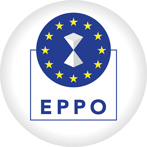 EPPO: Korruption bei Schifffahrtsamt