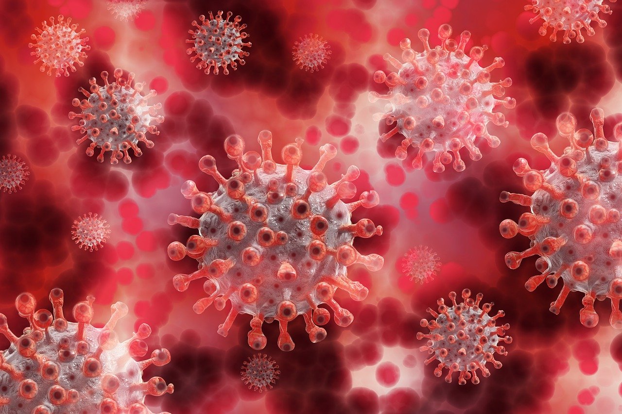 INSP-Wochenbericht: 14 neue Grippetote